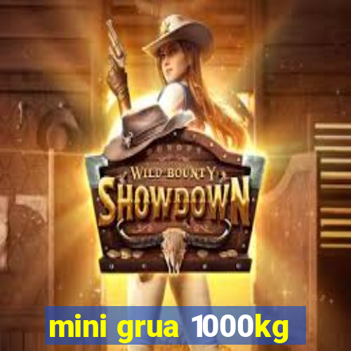 mini grua 1000kg